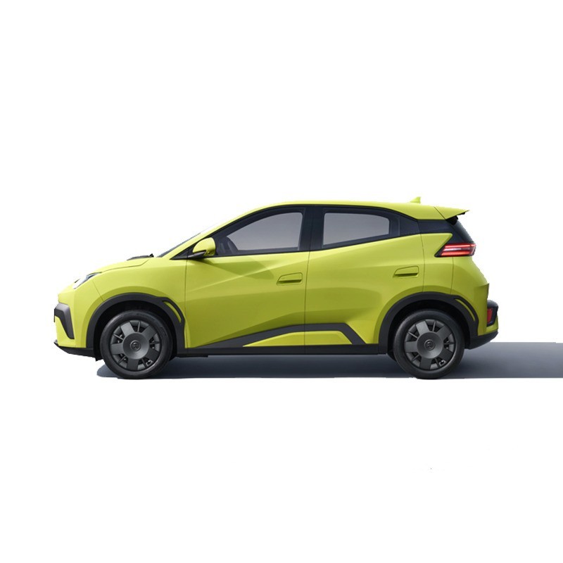 LLD BYD Dolphin Surf pour entreprise