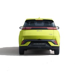 LLD BYD Dolphin Surf pour entreprise