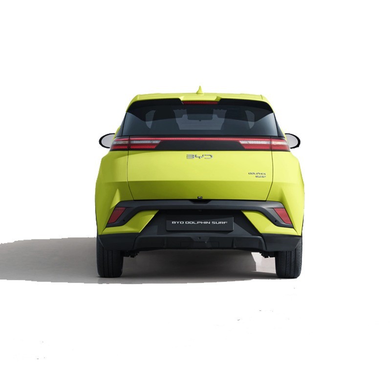 LLD BYD Dolphin Surf pour entreprise