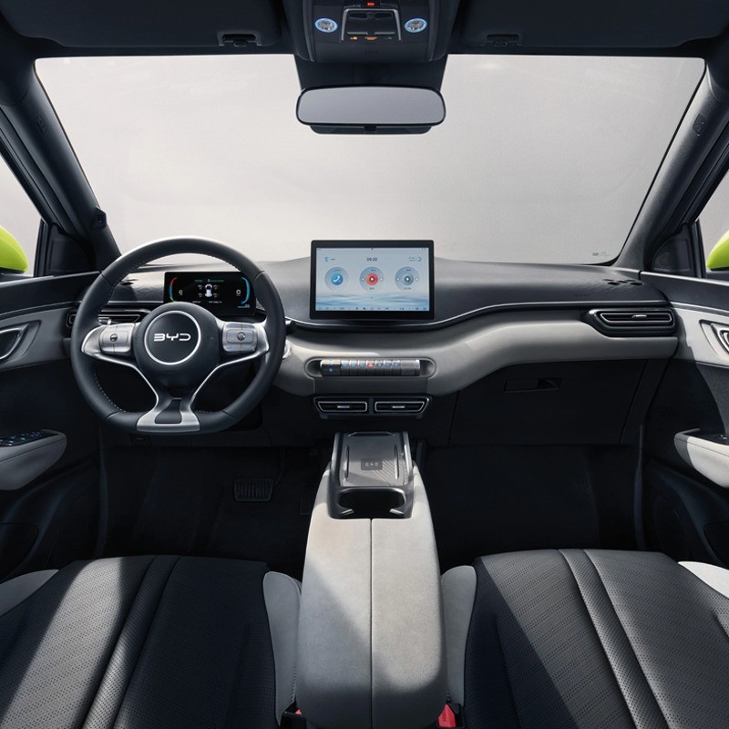 LLD BYD Dolphin Surf pour entreprise