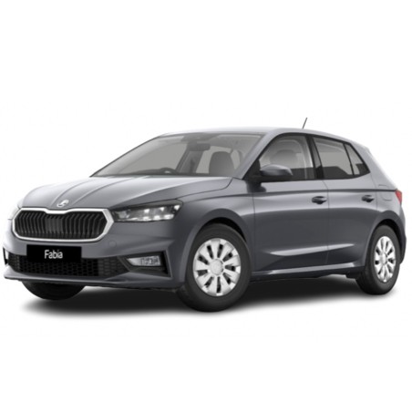 Škoda Fabia Active en LLD Citadine économique pour professionnels
