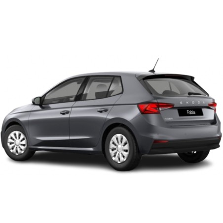 Škoda Fabia Active en LLD Citadine économique pour professionnels