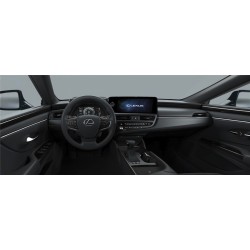 Voiture de fonction Lexus ES 300h en location longue durée